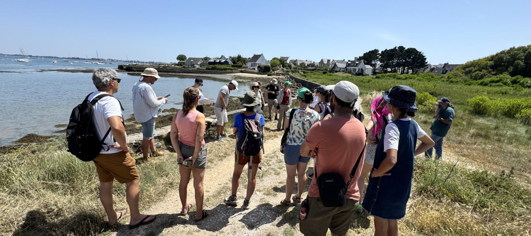 Journées de rencontre des chargés de mission Natura 2000 Bretagne 2026 : visite terrain sur les marais littoraux